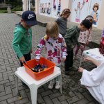 phoca_thumb_m_veverky 1. skup 5 Fotogalerie
